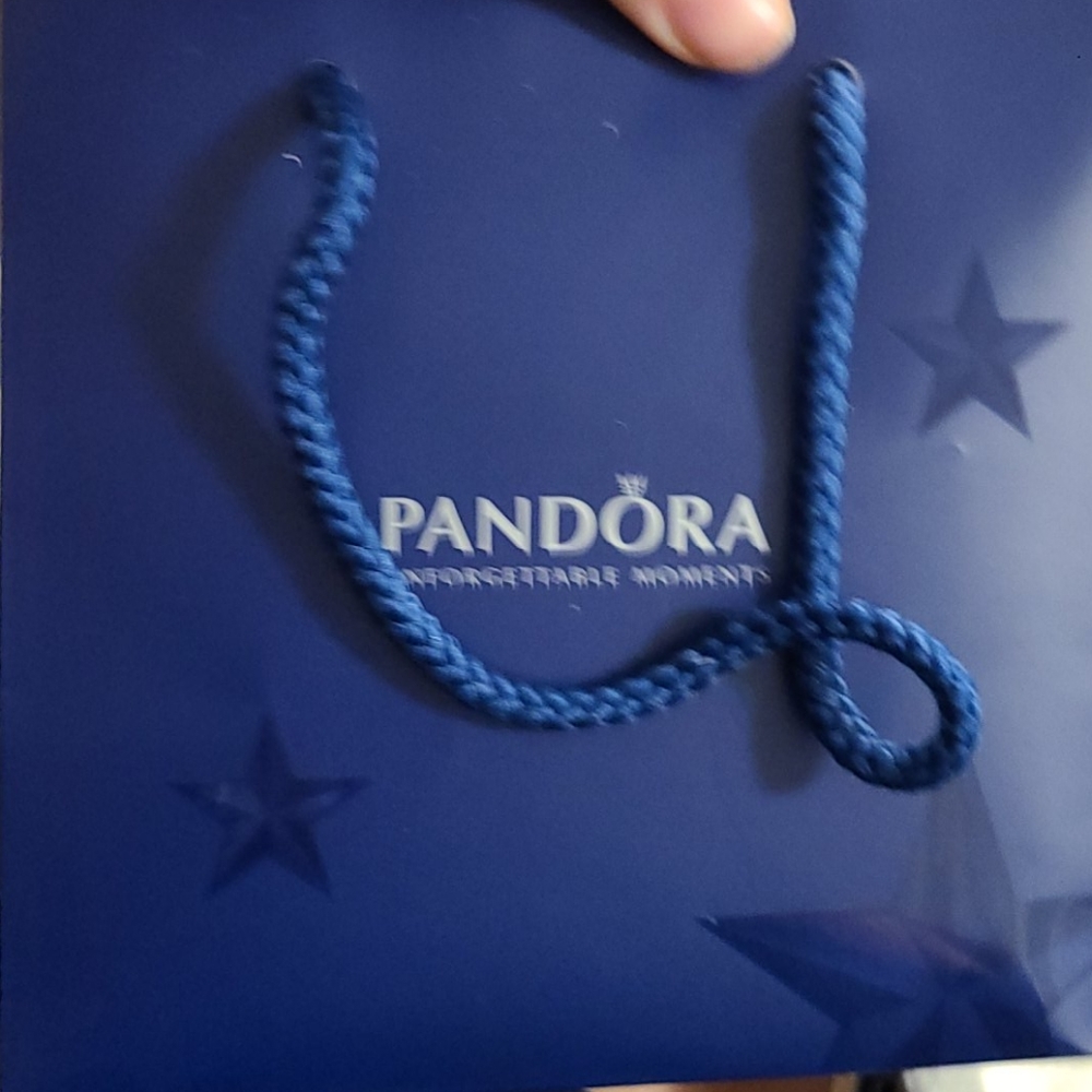 Pandora sterling silver bangle bracelet